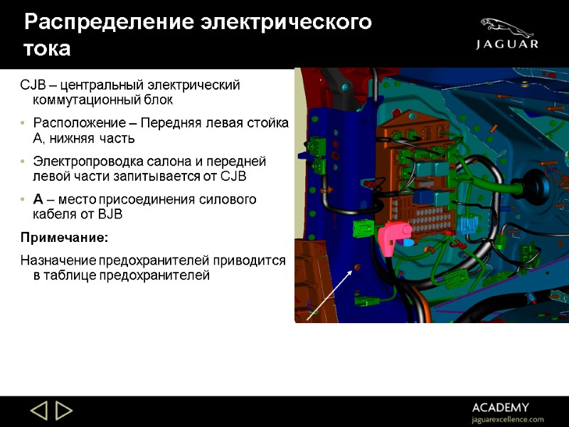 Распределение электрического тока CJB – центральный электрический коммутационный блок  Расположение – Передняя левая